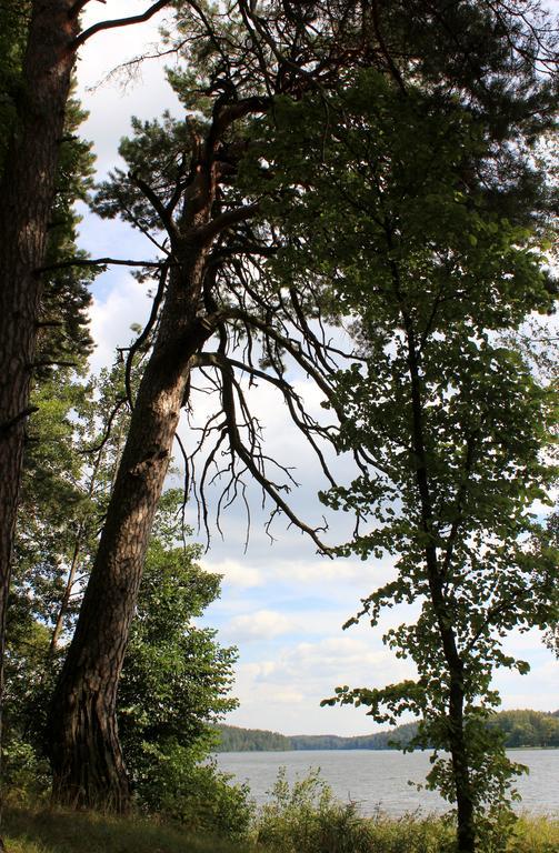 Ramybes Uostas Guest House Svedriske ภายนอก รูปภาพ