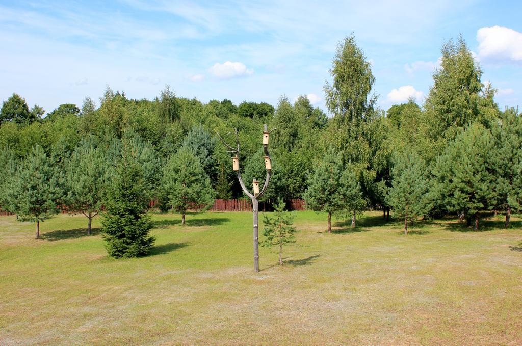 Ramybes Uostas Guest House Svedriske ภายนอก รูปภาพ